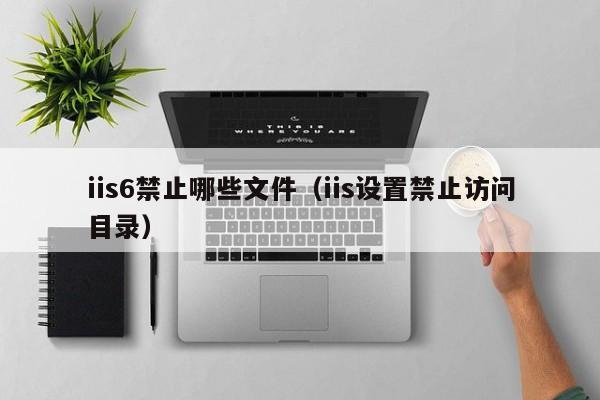 iis6禁止哪些文件（iis设置禁止访问目录）